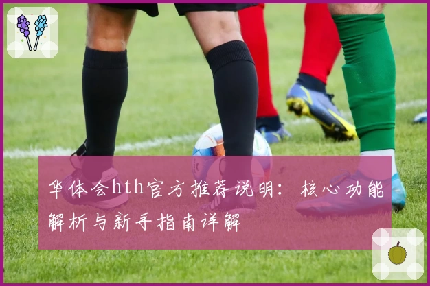 华体会hth官方推荐说明：核心功能解析与新手指南详解